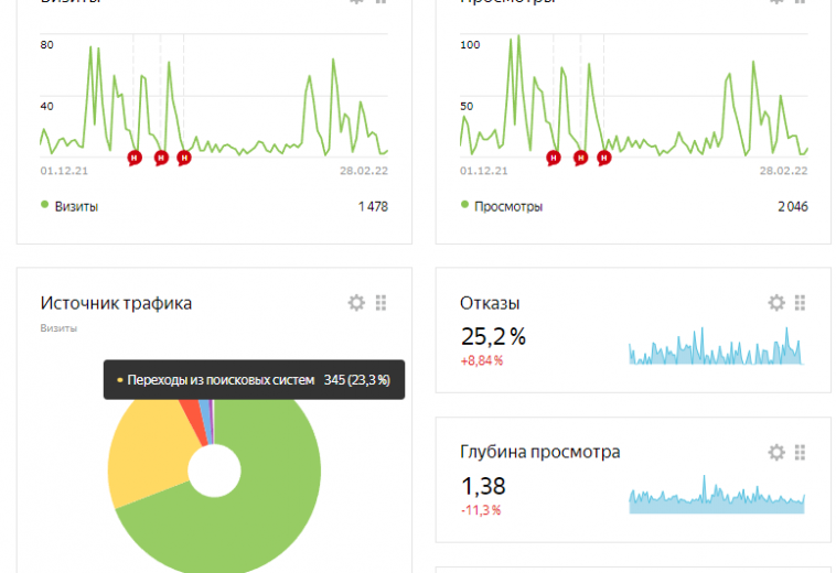 prodvizhenie-sayta-seo-po-himchistke-skrinshot-iz-metriki-po-trafiku-za-2021-god