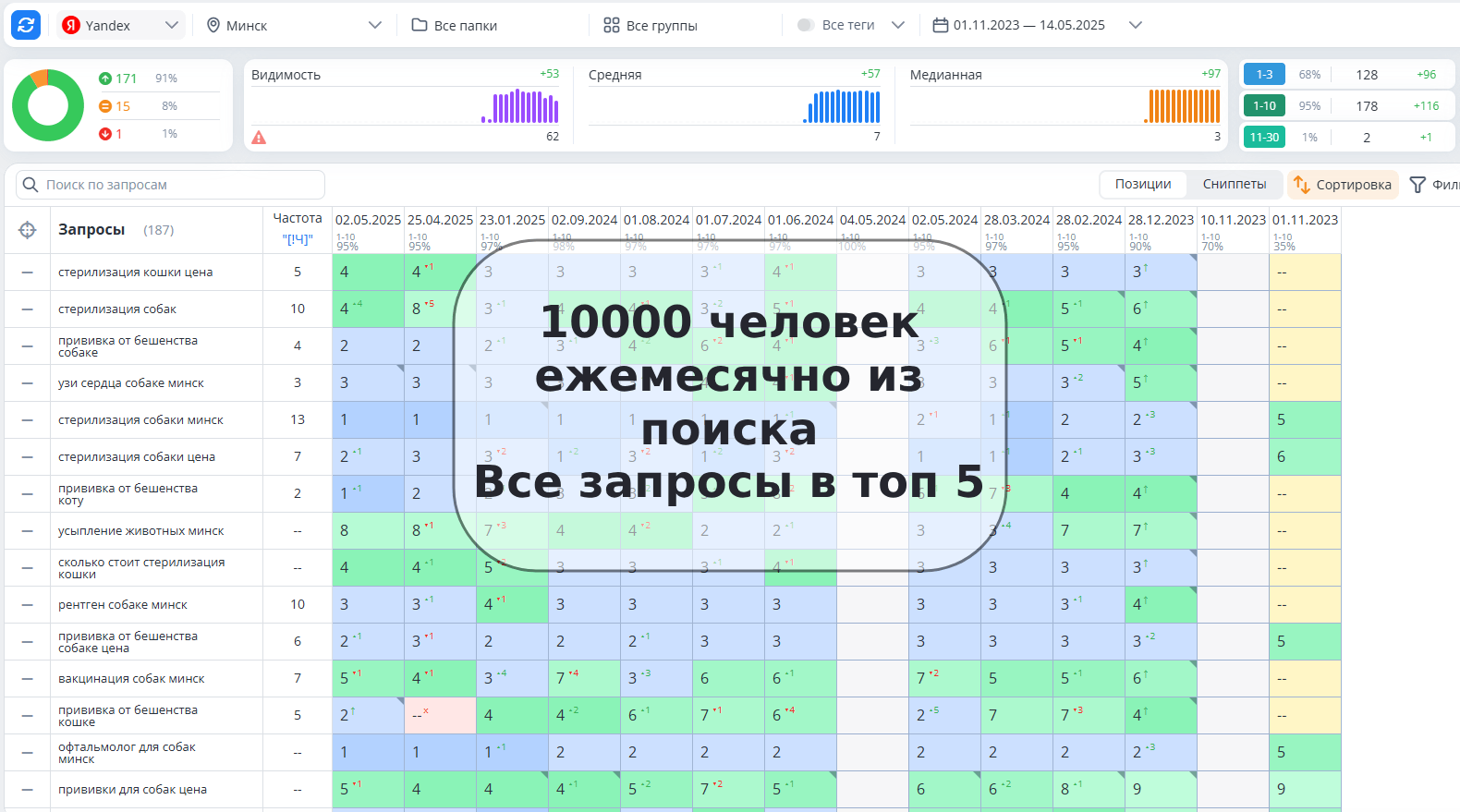 SEO продвижение и сопровождение сайта ветеринарных услуг в Минске