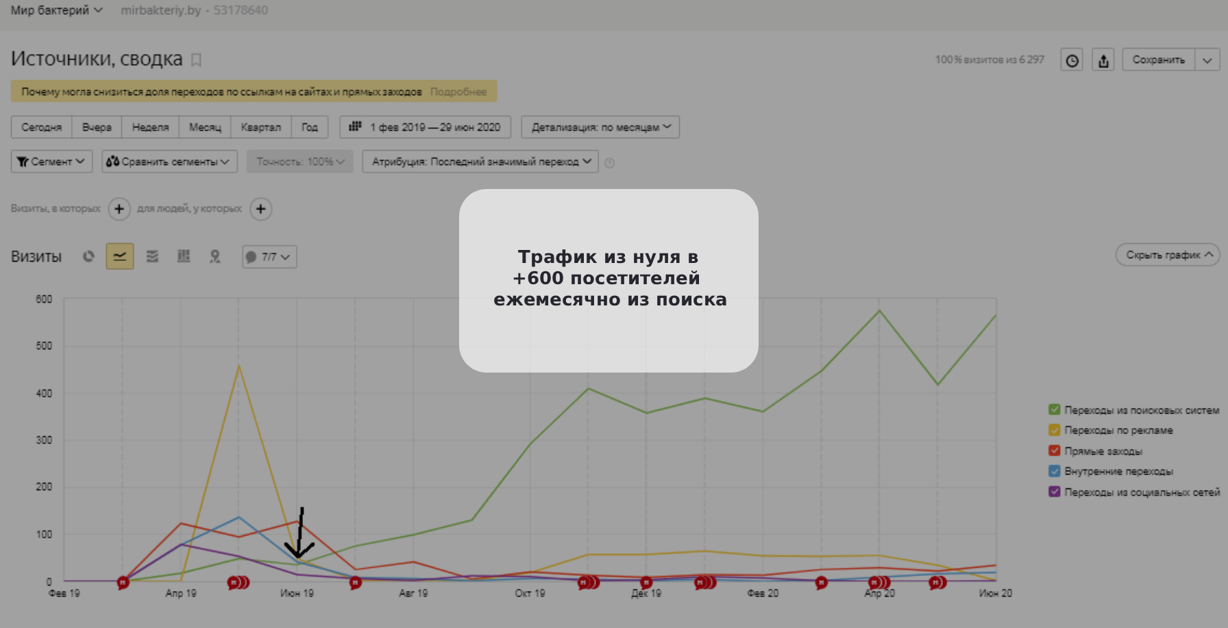 Вывели трафик сайта «Мир бактерий» из нуля: +600 посетителей из поиска